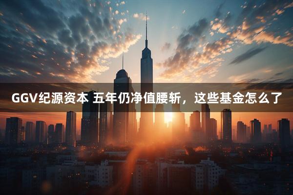 GGV纪源资本 五年仍净值腰斩，这些基金怎么了