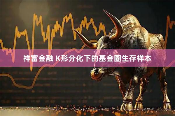 祥富金融 K形分化下的基金圈生存样本