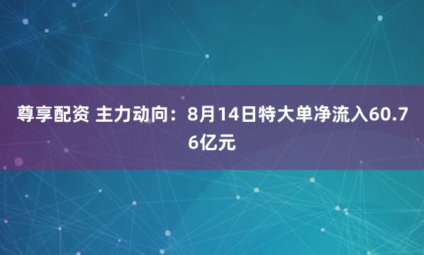 尊享配资 主力动向:8月14日特大单净流入60.76亿元